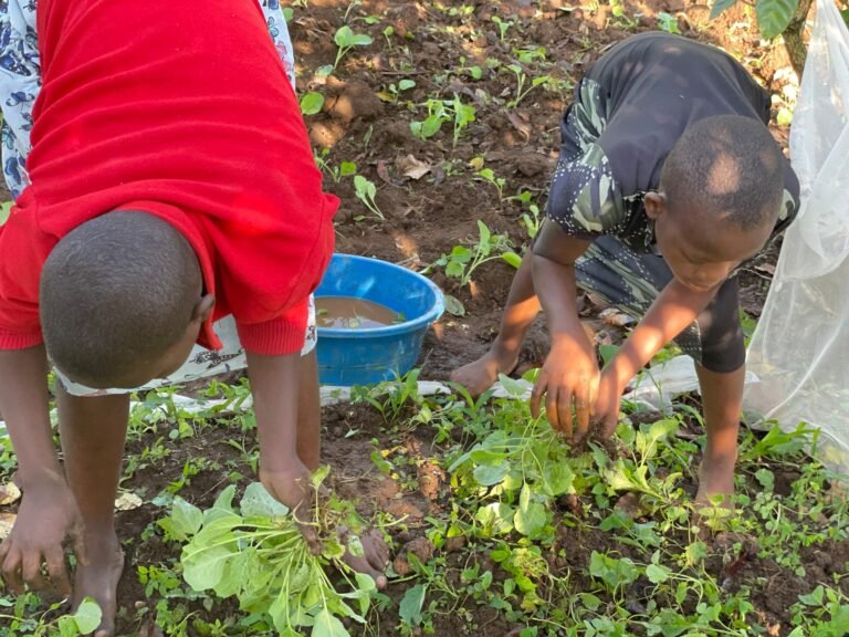 Why Plant-Based Farming Matters for Communities and the Environment