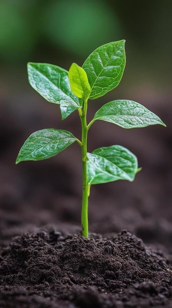 Ethical Vegans Community (5)