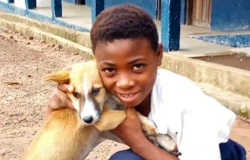 Compassion for Animals: Why Kindness Matters