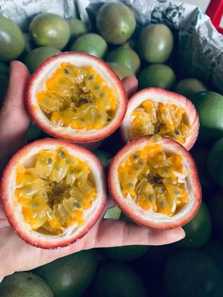 Ethican Vegan's Community (18)