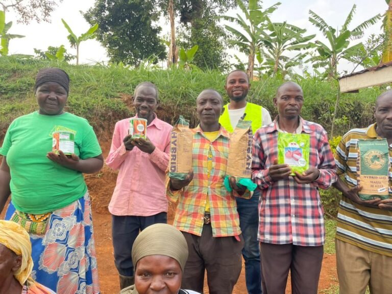 Update About Our Translation Program in Partnership with Plenty Food Nederland