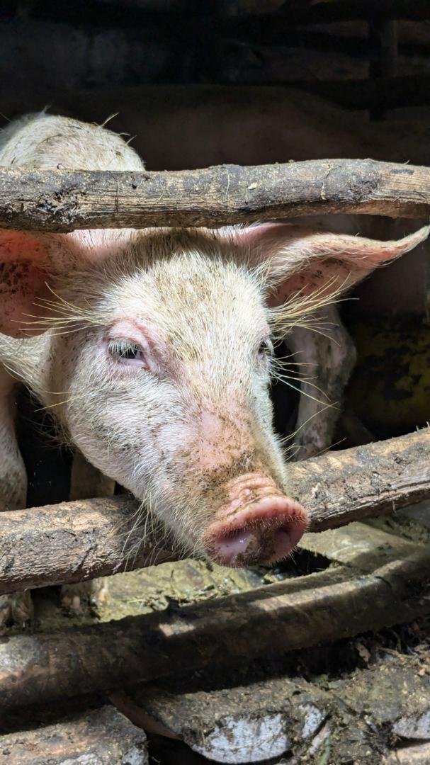 A message from Rancher Advocacy Program