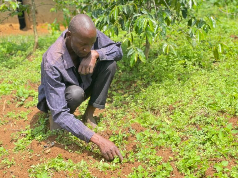 Transitioning Communities Toward Plant-Based Livelihoods