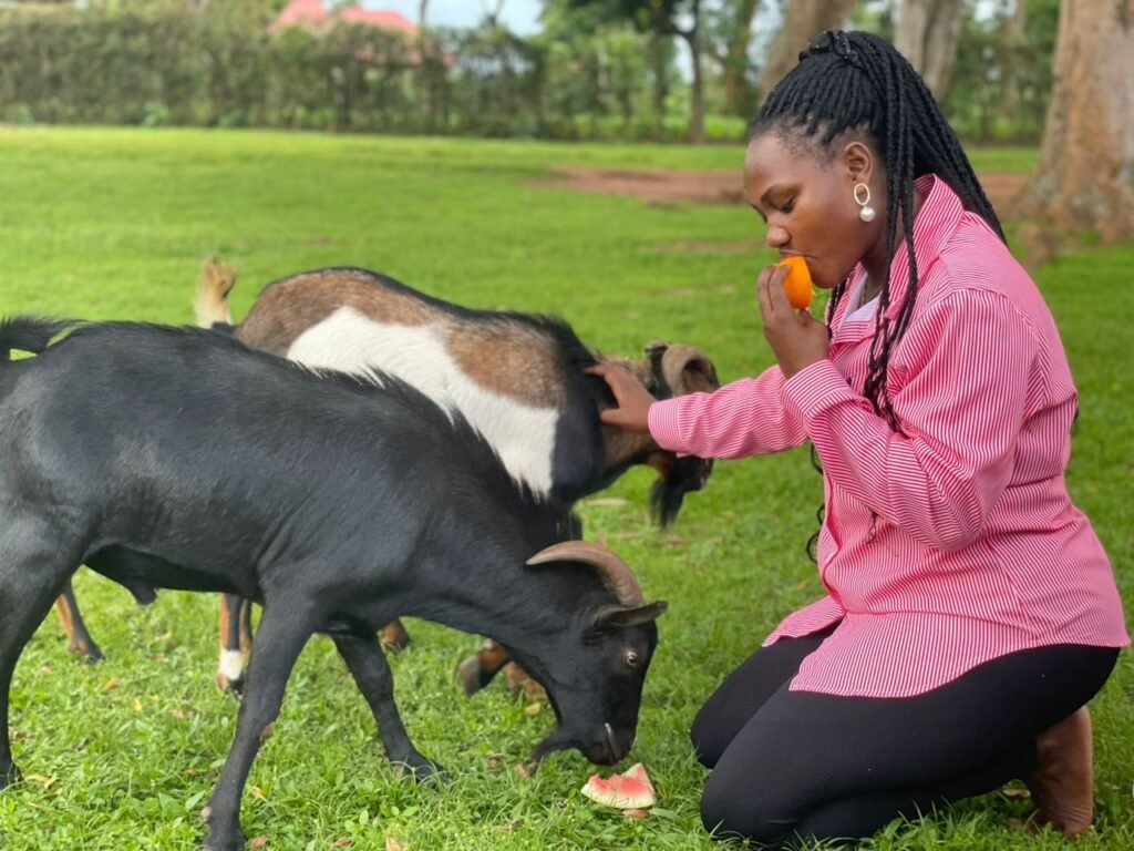 As the Ethical Vegan's community, we are delighted to have hosted a successful picnic event today, which was truly enjoyable with fellow advocates savoring vegan fruits. The vegan lifestyle has indeed brought about a positive impact on the environment and animal welfare. We extend our sincere appreciation to We The Free - Animal Rights for their invaluable partnership in making the vegan picnic a success. We look forward to taking our advocacy to the streets soon to champion animal freedom.